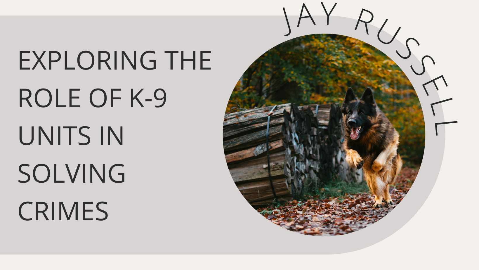 Exploring the Role of K-9 Units in Solving Crimes