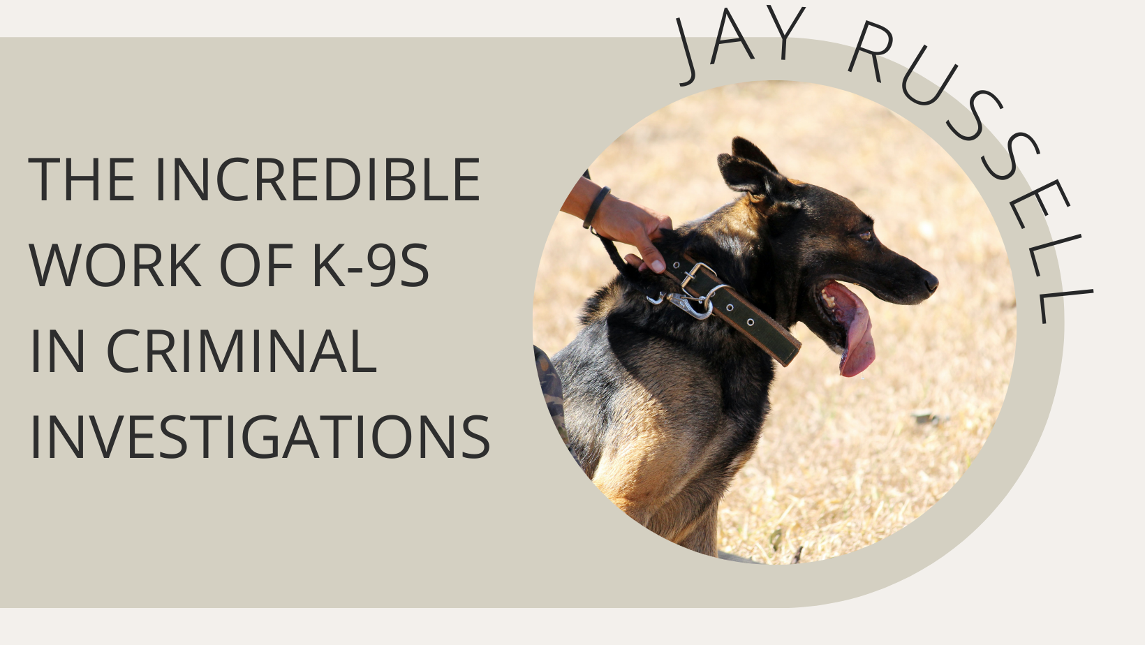 The Incredible Work of K-9s in Criminal Investigations